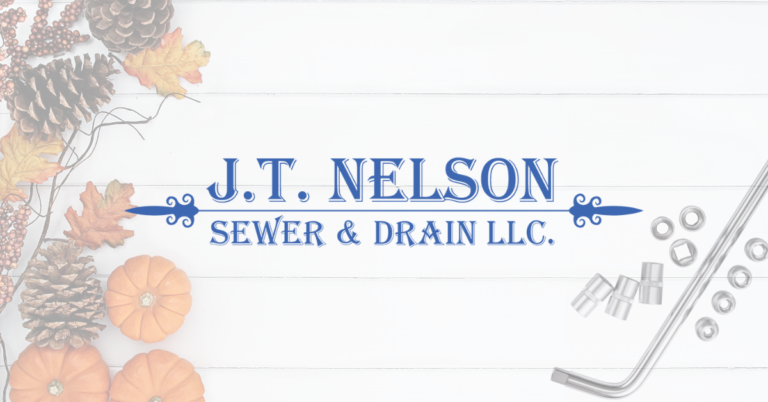 Read more about the article Fall Maintenance Tips for Your Sewer Line