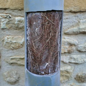 sewer line services in maine