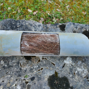 tree roots in sewer lines