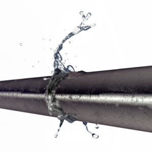 Conducting a Thorough Inspection in the Spring